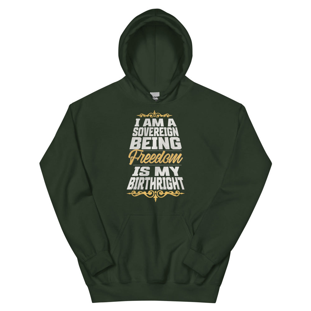 Sovereign Being Hoodie - Forest Green Color - https://ascensionemporium.net